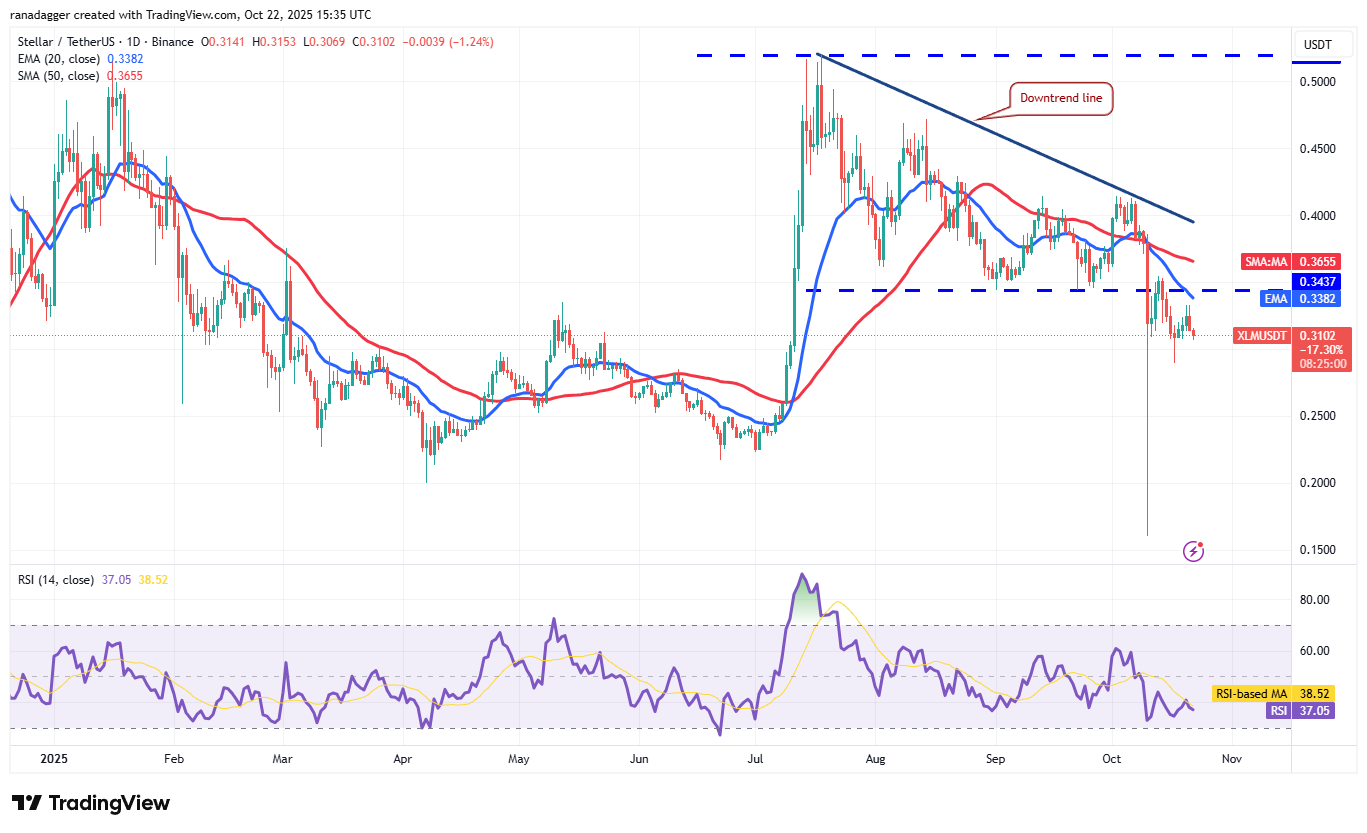 Dogecoin, Criptomonedas, Stellar, Precio de Bitcoin, XRP, Mercados, Exchange de criptomonedas, Cardano, Análisis de precios, Chainlink, Análisis de mercado, Precio de Ether, Solana, BNB