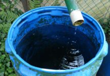 ¿Cuánta lluvia puede captar un techo en Chihuahua? Recipiente azul que recibe agua de lluvia desde una tubería