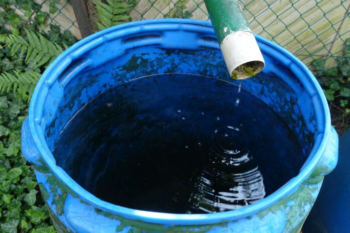 Recipiente azul que recibe agua de lluvia desde una tubería